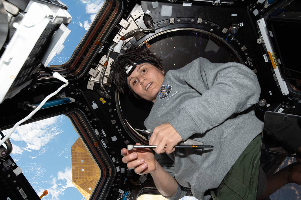 Astronaut Samantha Cristoforetti installs acrylic scratch panes on windows