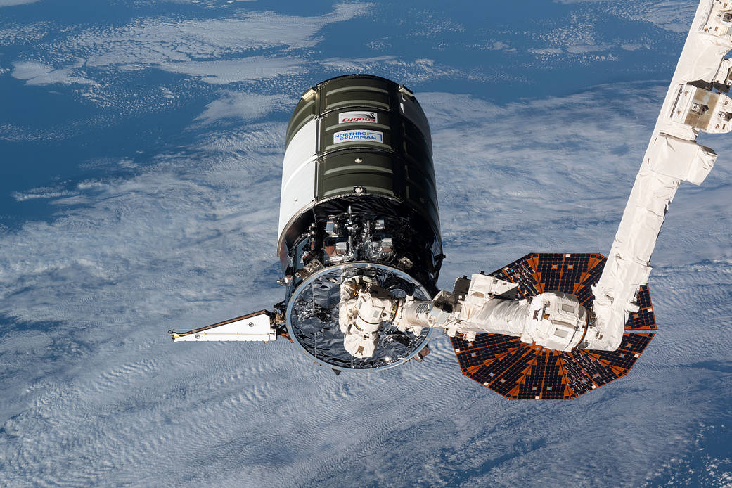 The Cygnus space freighter is in the grip of the Canadarm2