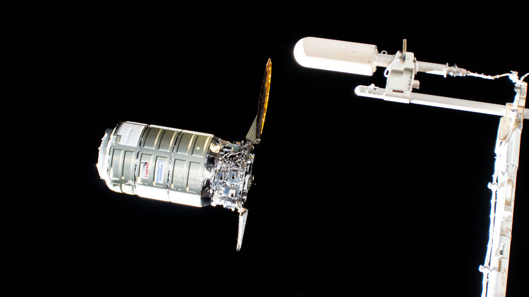 The Cygnus space freighter approaches the space station