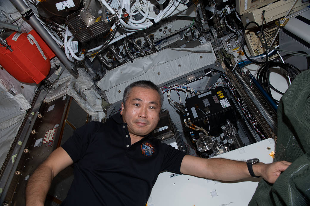 Astronaut Koichi Wakata works on life support maintenance tasks