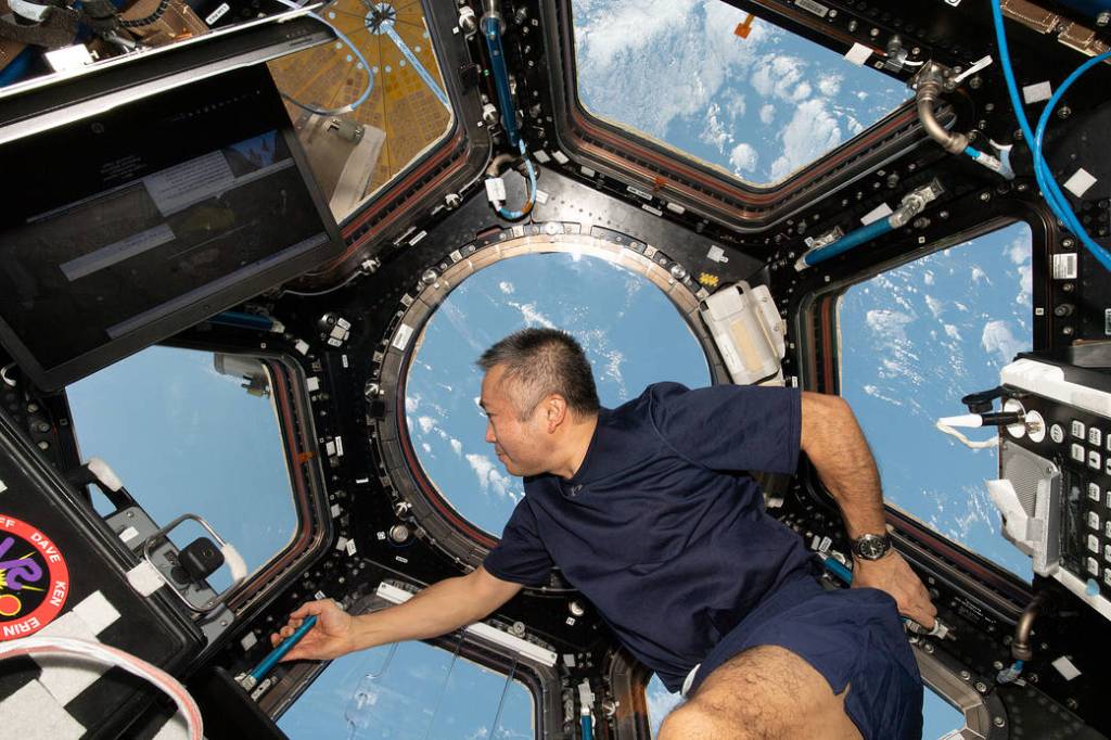 Astronaut Koichi Wakata looks at the Earth below