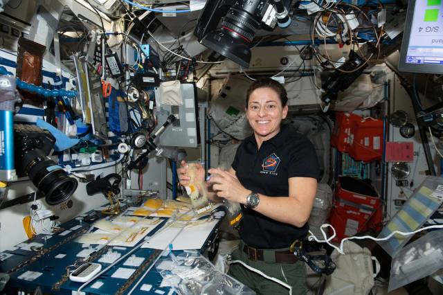 Astronaut Nicole Mann works on the BioNutrients-2 investigation