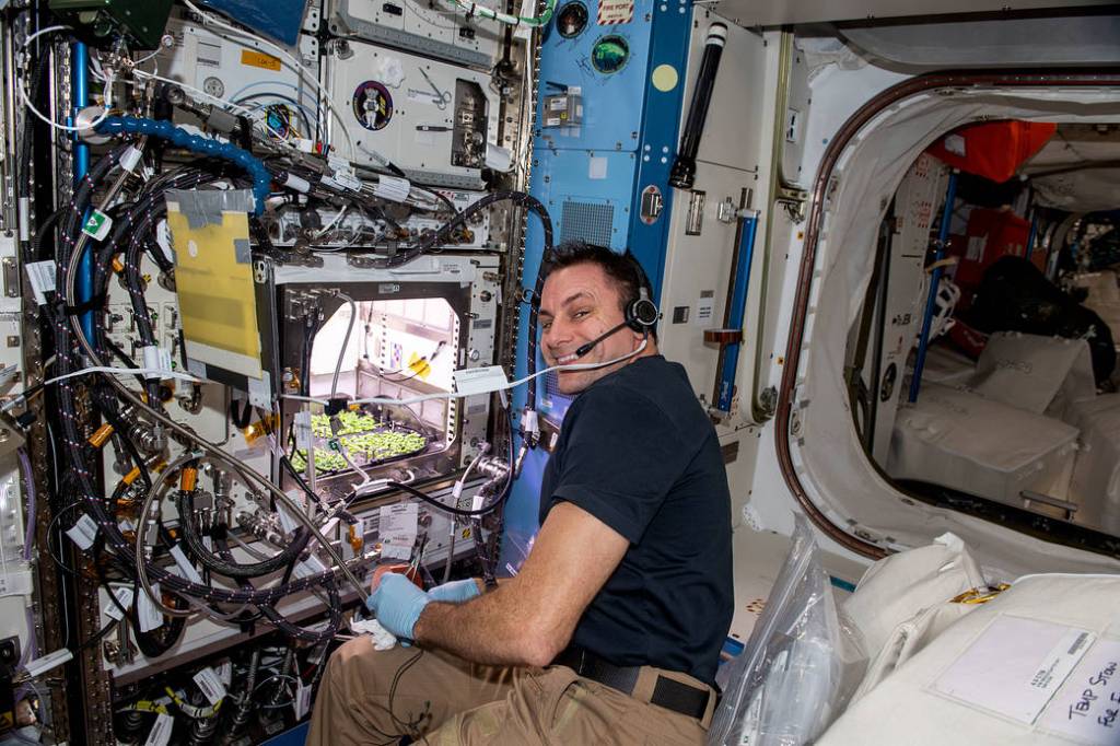 Astronaut Josh Cassada harvests plants for a space botany study