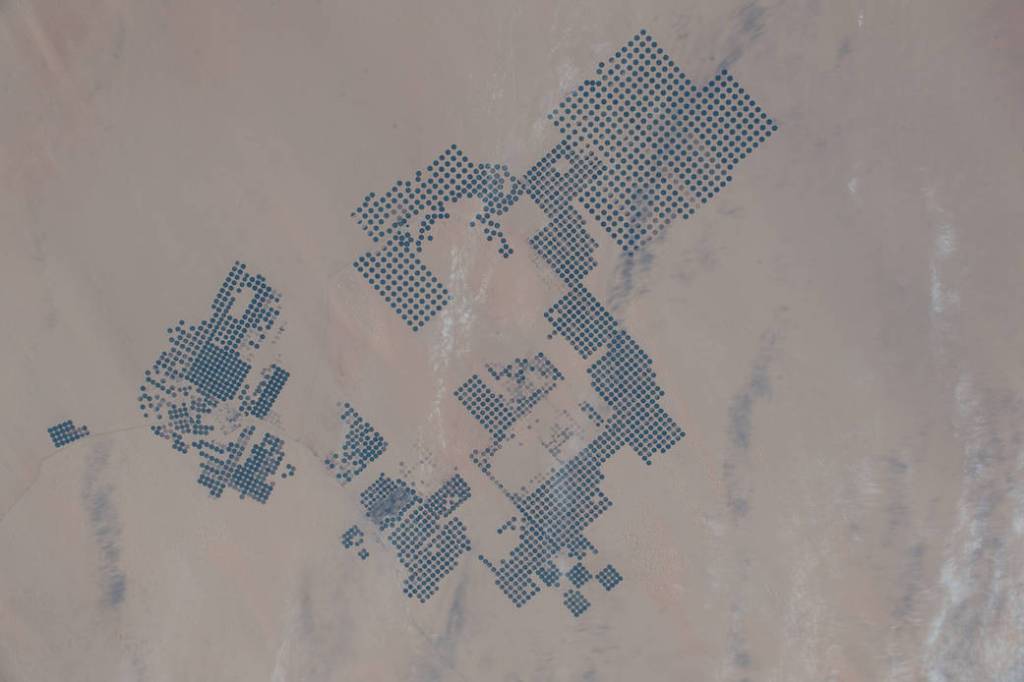 An agricultural development in the eastern Sahara