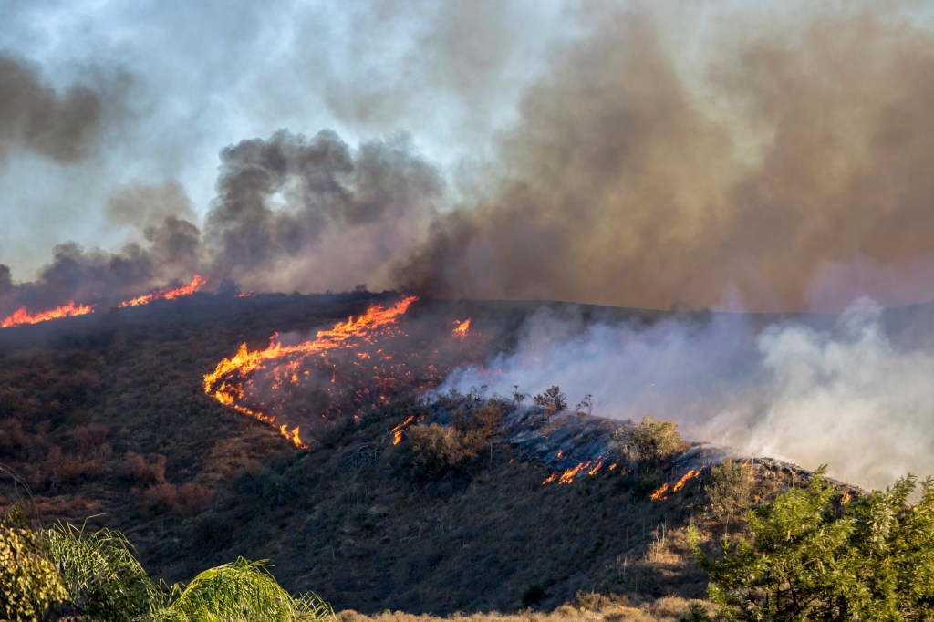 Smokey brown brushfire burns with white smoke and yellow, red, orange, fires burning trees and shrubs to display a brown burnt land.