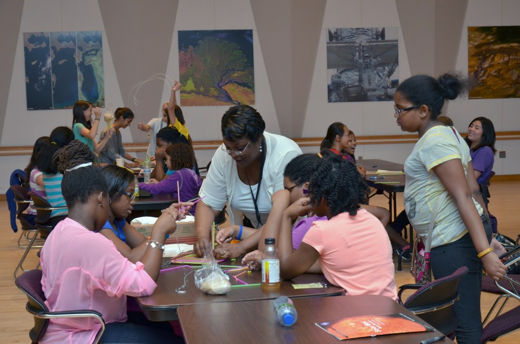 Goddard SISTER Program: 2013