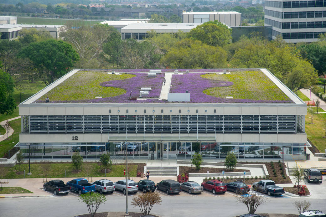 Wildflowers and plants flourish on top of Building 12 during the spring of 2013.
