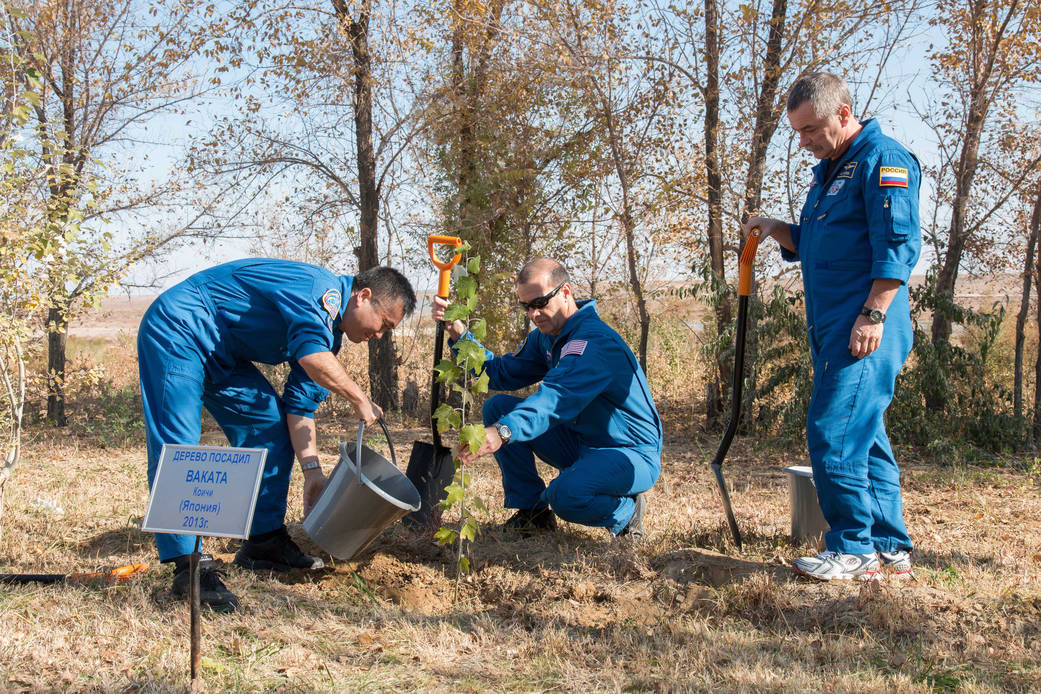 Expedition 38 Tree Planting Ceremony