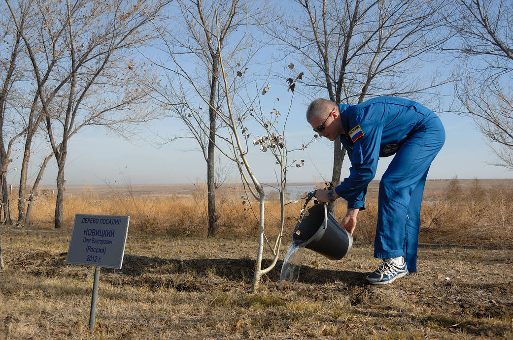  Expedition 50-51 crew member Oleg Novitskiy of the Russian Federal Space Agency