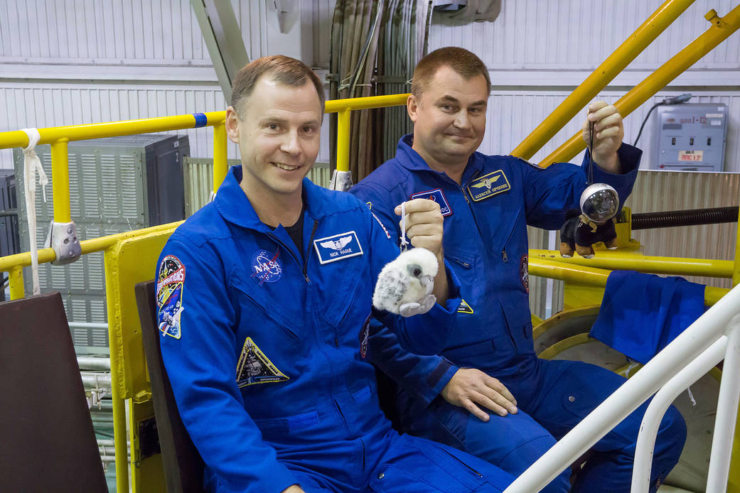 Expedition 57 crew members hold up toy mascots