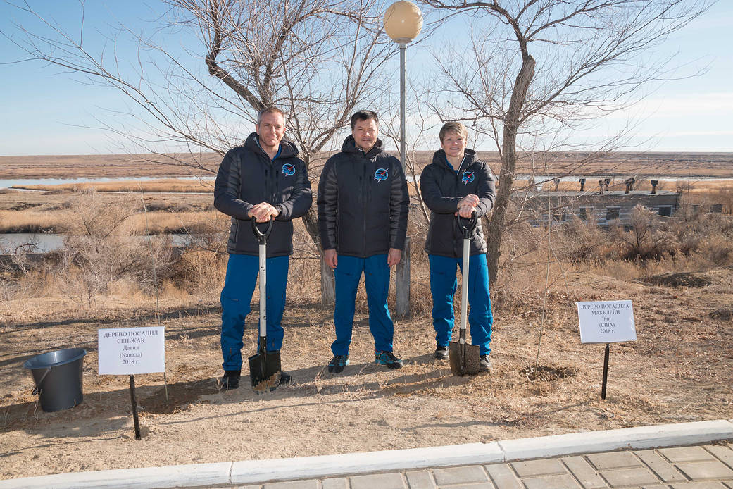 Expedition 58 crew members plant trees