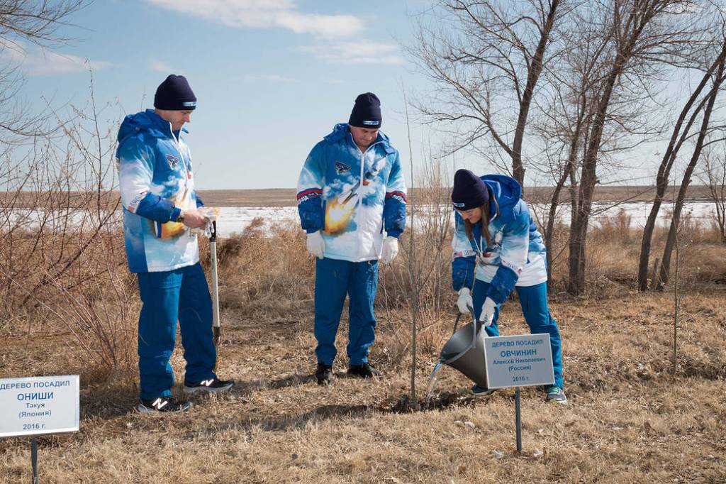 Expedition 59 crew member Christina Koch waters a tree