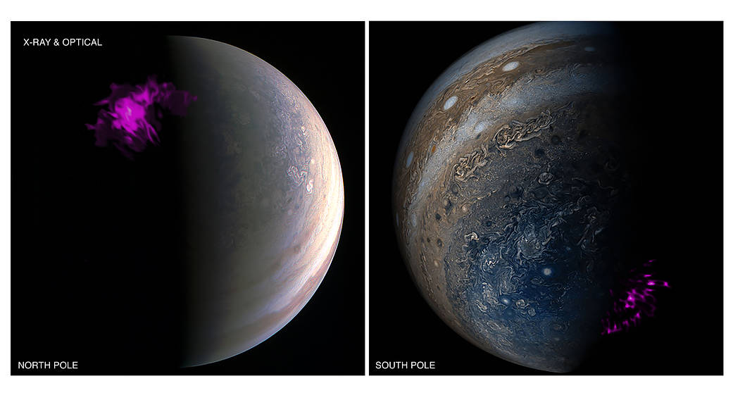 Jupiter's intense northern and southern lights, or auroras, behave independently of each other according to a new study.