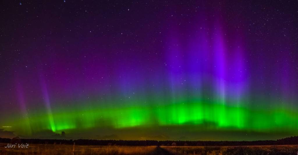 Purple and Green Aurora in Estonia
