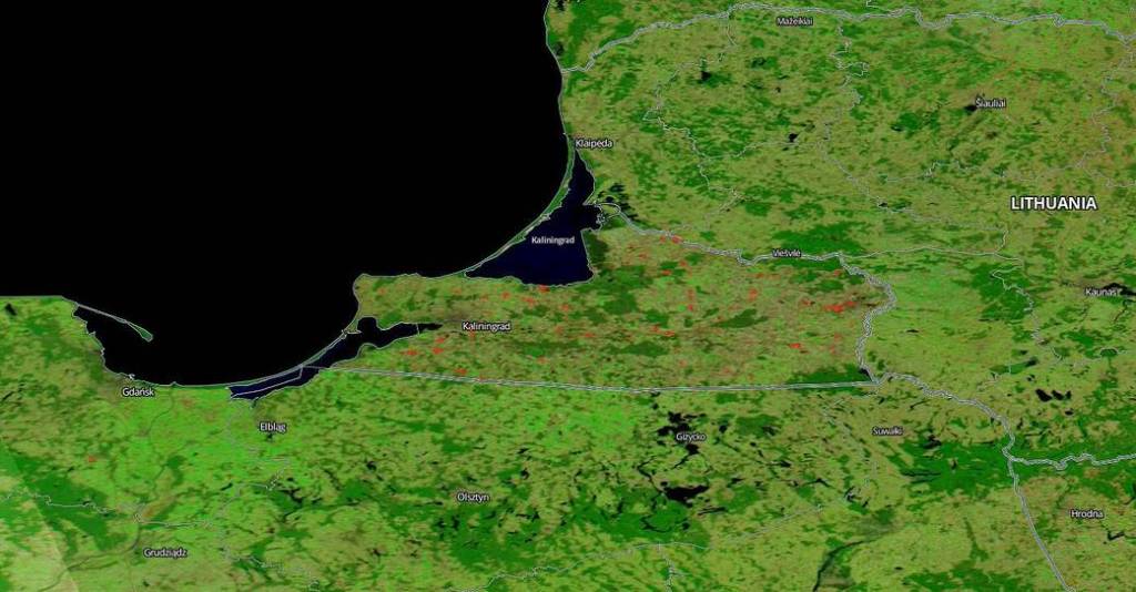 Fires in Kaliningrad Most Likely Agricultural