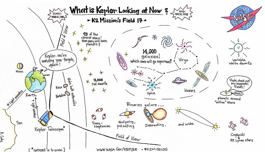 "What is Kepler Looking at Now", Field 17 Cartoon