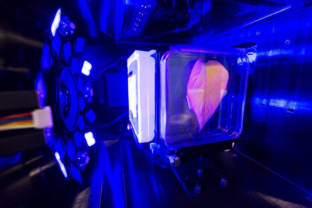 Studying the Genetics of Organisms in Space