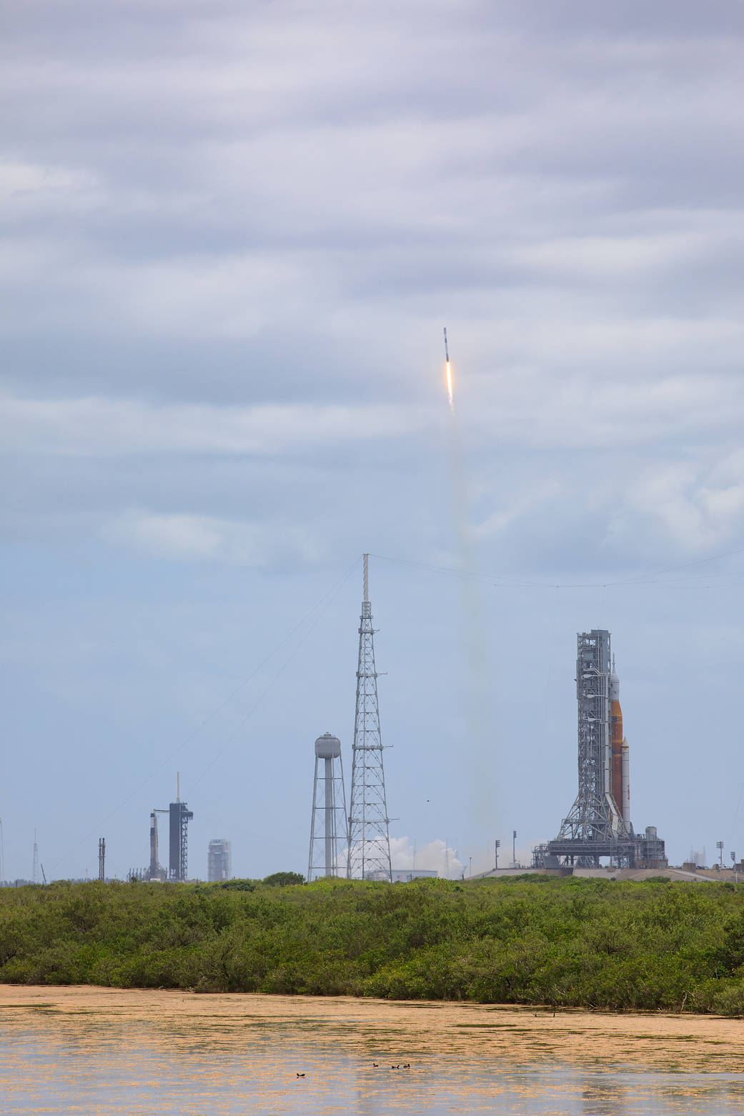 Artemis I, Crew-4, & Starlink Rockets on the Pad