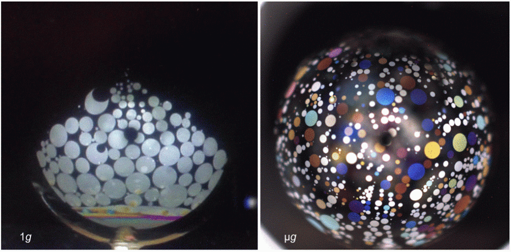 Liquid Crystals – 1g vs Microgravity