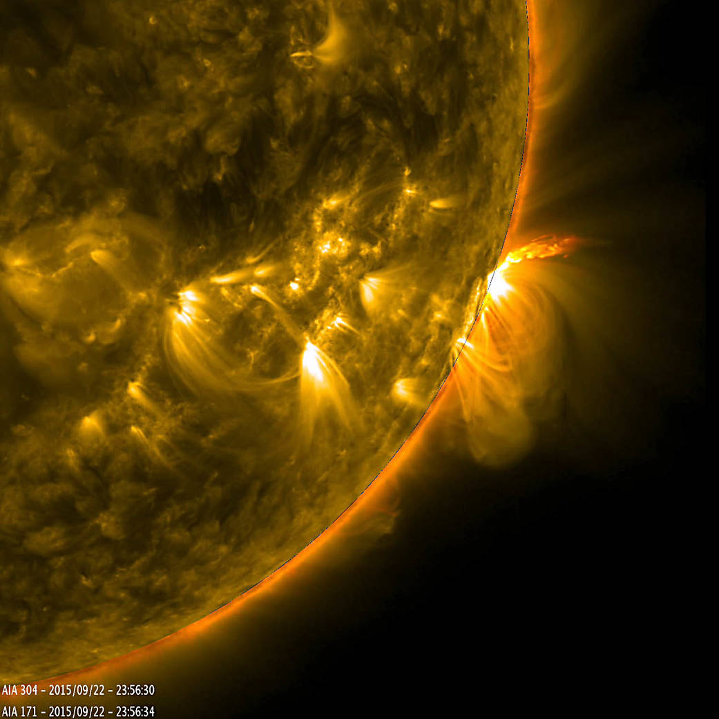 SDO image of solar active region viewed in profile