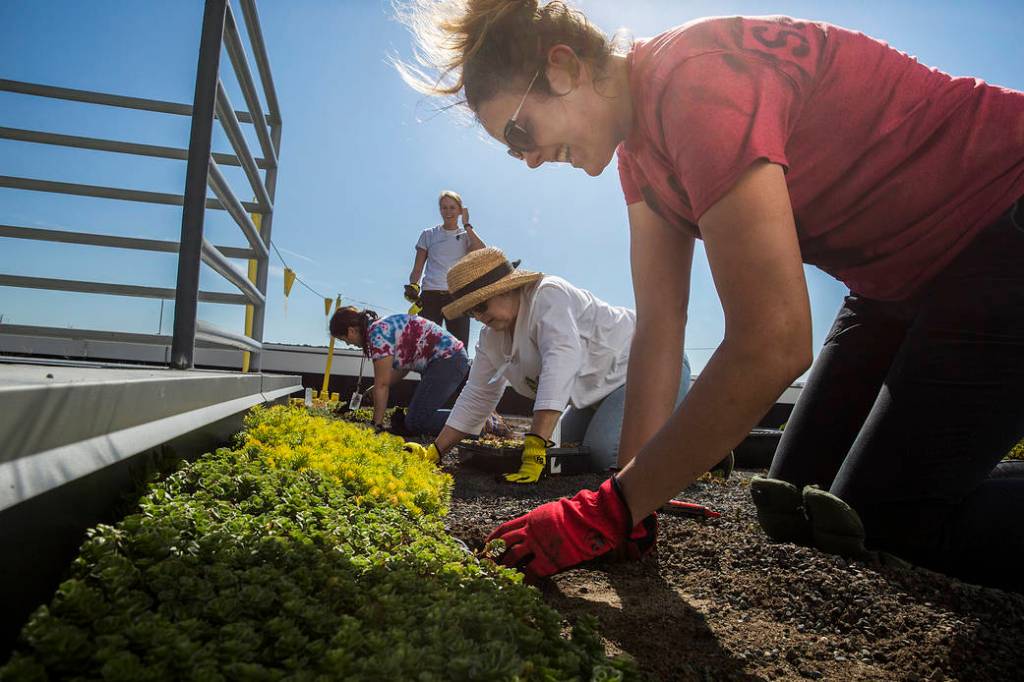 Saving Energy by Keeping it Green