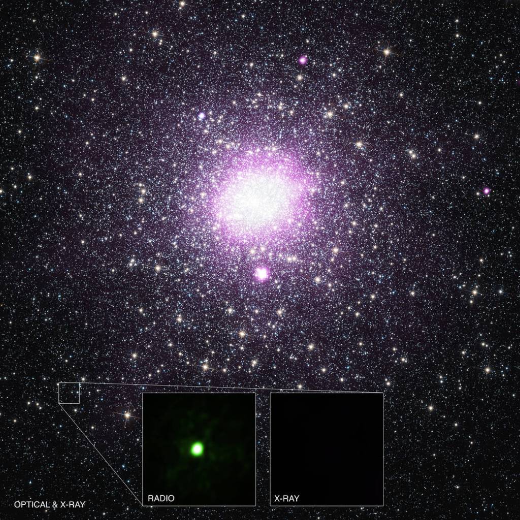 VLA J2130+12: Clandestine Black Hole May Represent New Population
