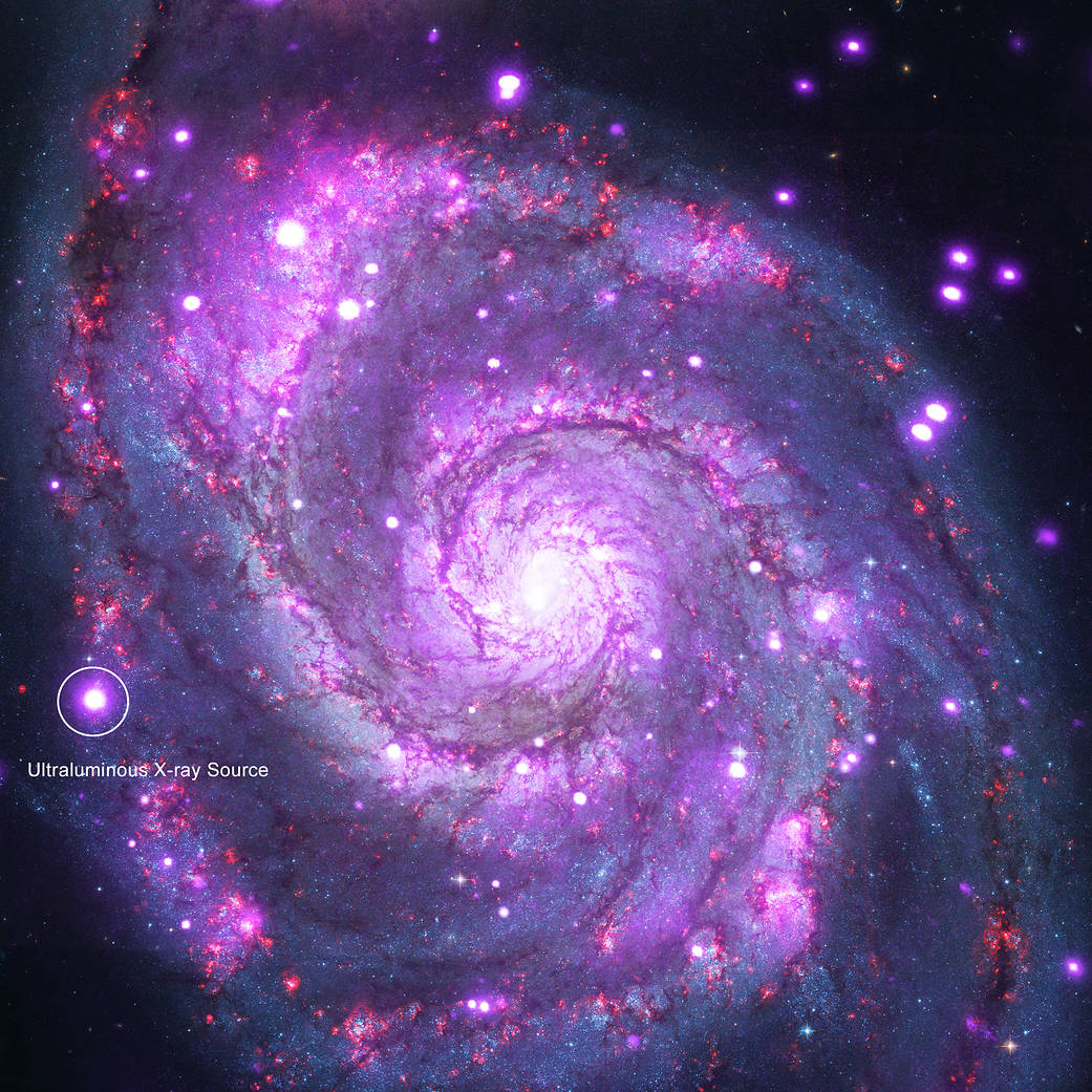 An ultraluminous X-ray source in the M51, or Whirlpool, galaxy. 