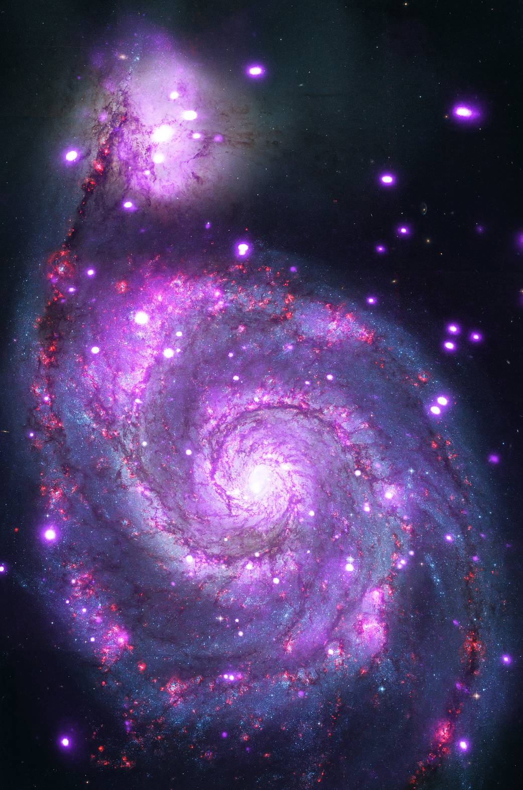 The Whirlpool Galaxy is a spiral galaxy with spectacular arms of stars and dust.