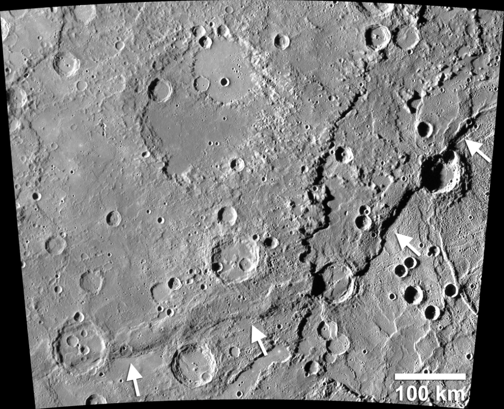 Enterprise Rupes