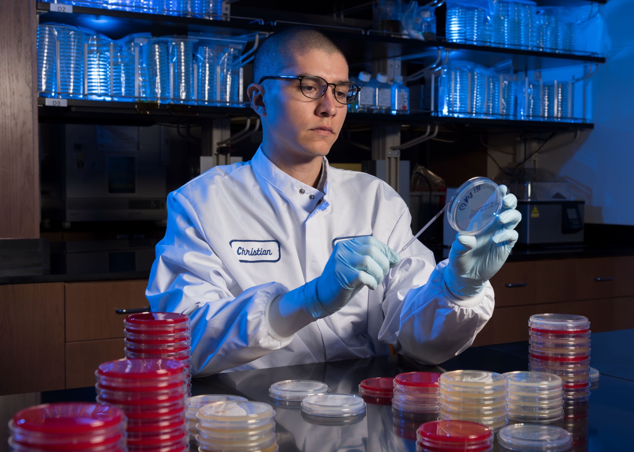 microbiologist streaks microbial cultures