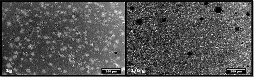 Microgravity Investigation of Cement Solidification (MICS) Earth vs Lunar Results