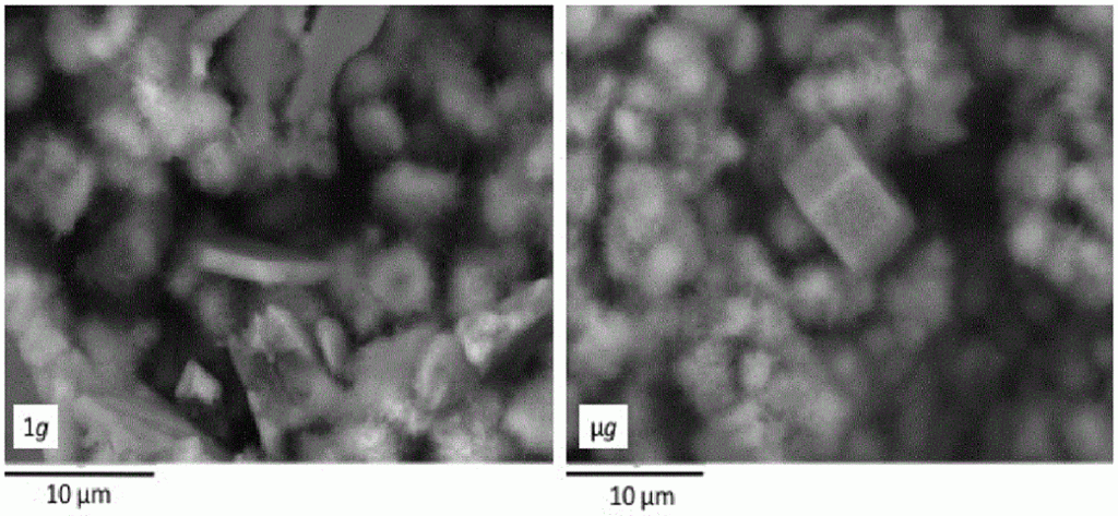 Cement Solidification – 1g vs Microgravity