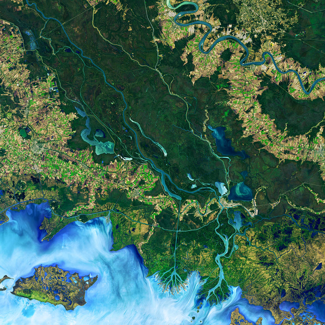 Satellite image of delta in Mississippi River