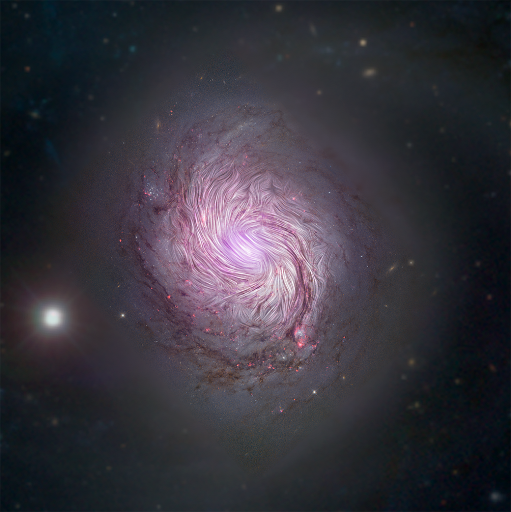 Shaping a Spiral Galaxy