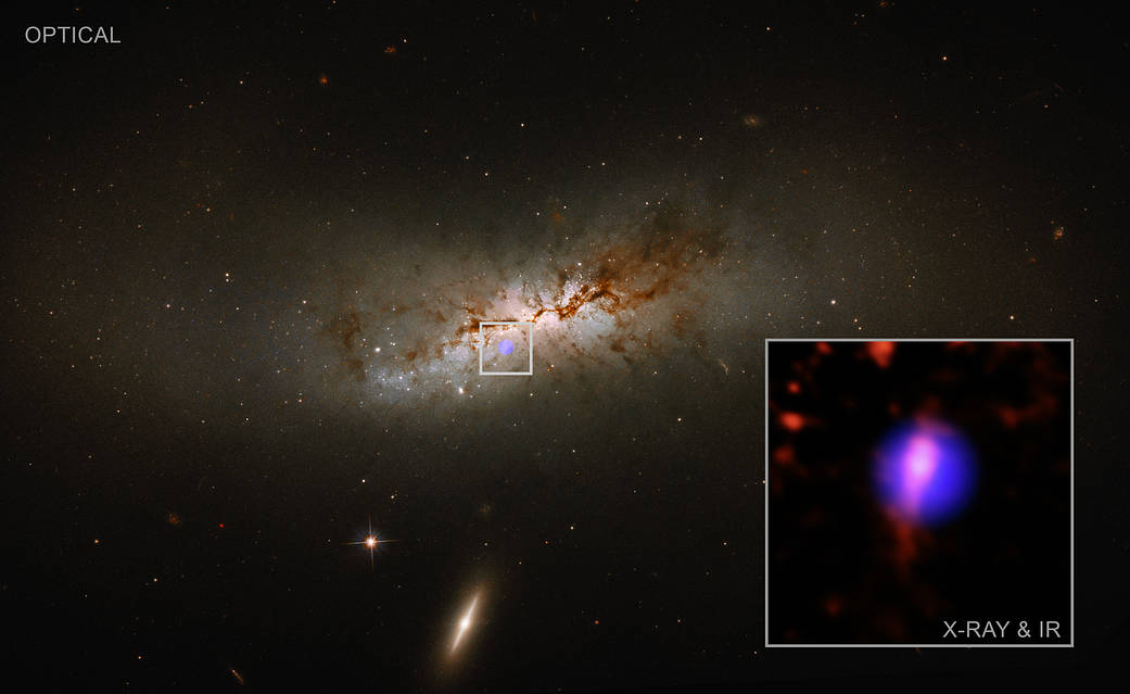 Spiral galaxy NGC 4424.