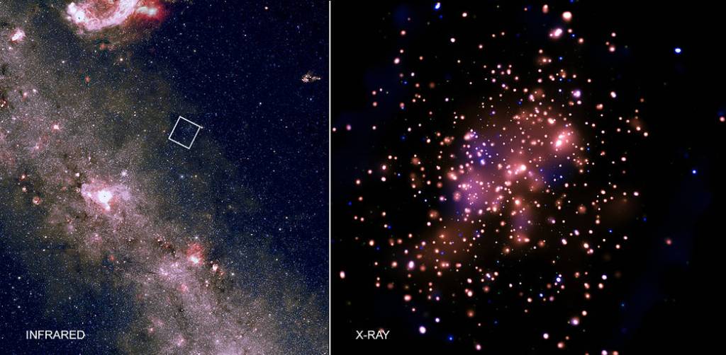 Stellar Family Portrait in X-rays