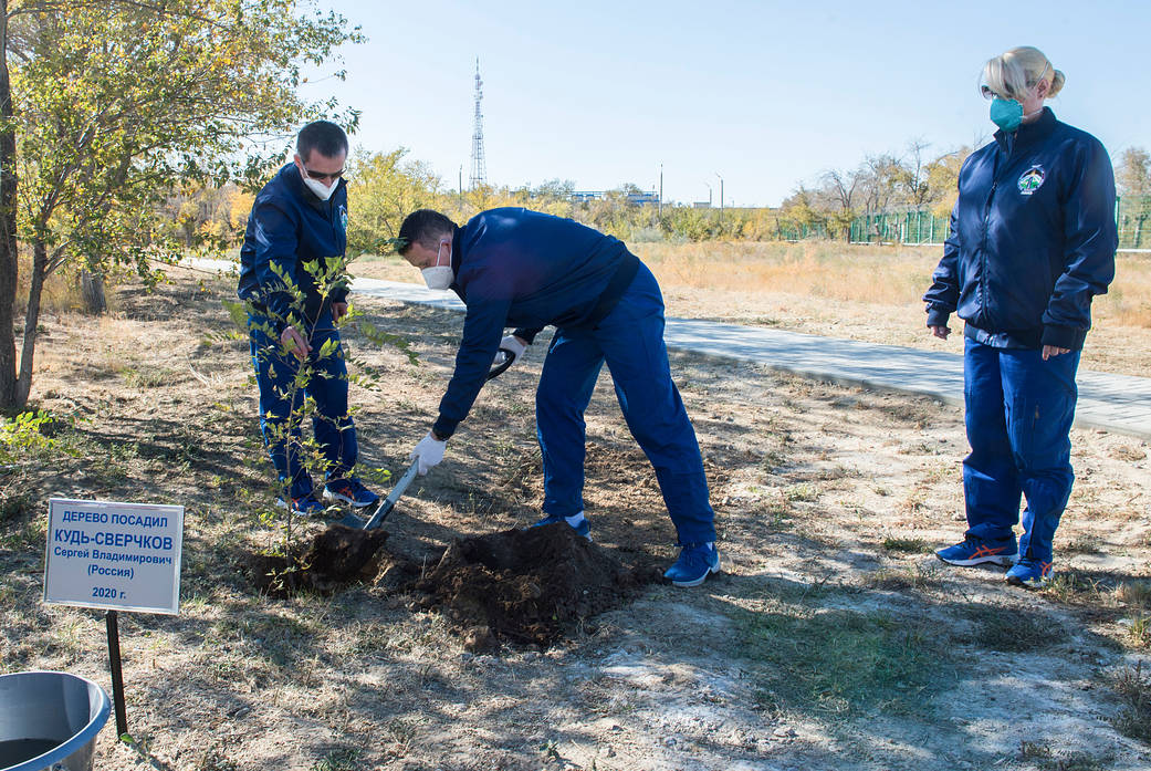 Cosmonaut Sergey Kud-Sverchkov plants a tree