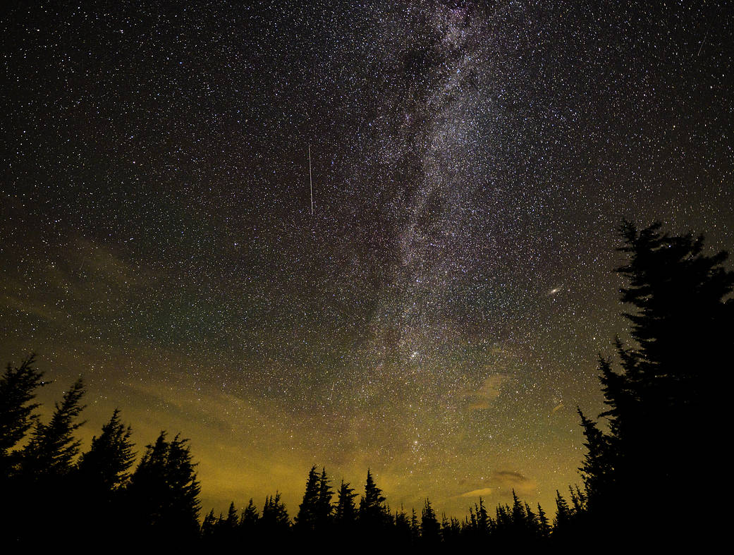 The sky goes from black at the top to a muted yellow-green at the bottom. The sky is full of stars, with a column of denser stars and dust just slightly off center. A meteor streaks across the sky. The silhouette of tall trees frames the bottom.