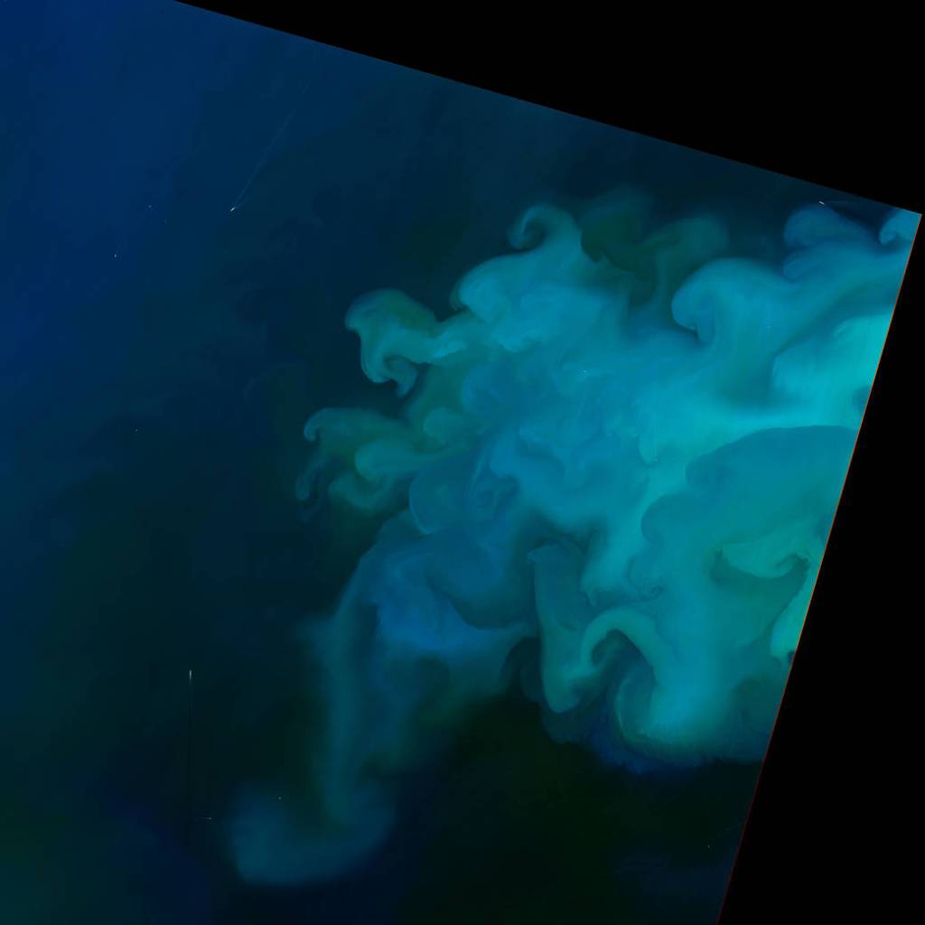 Spring Color in the North Sea