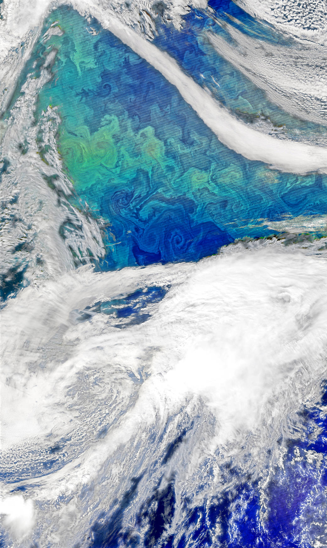 Bloom of phytoplankton in Atlantic imaged by satellite with clouds below and surrounding