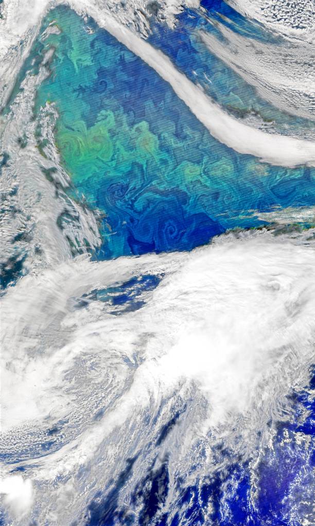 Phytoplankton Bloom in the North Atlantic