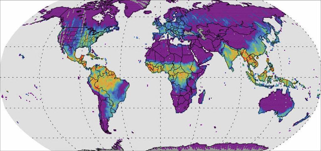 Solar-induced Fluorescence Map