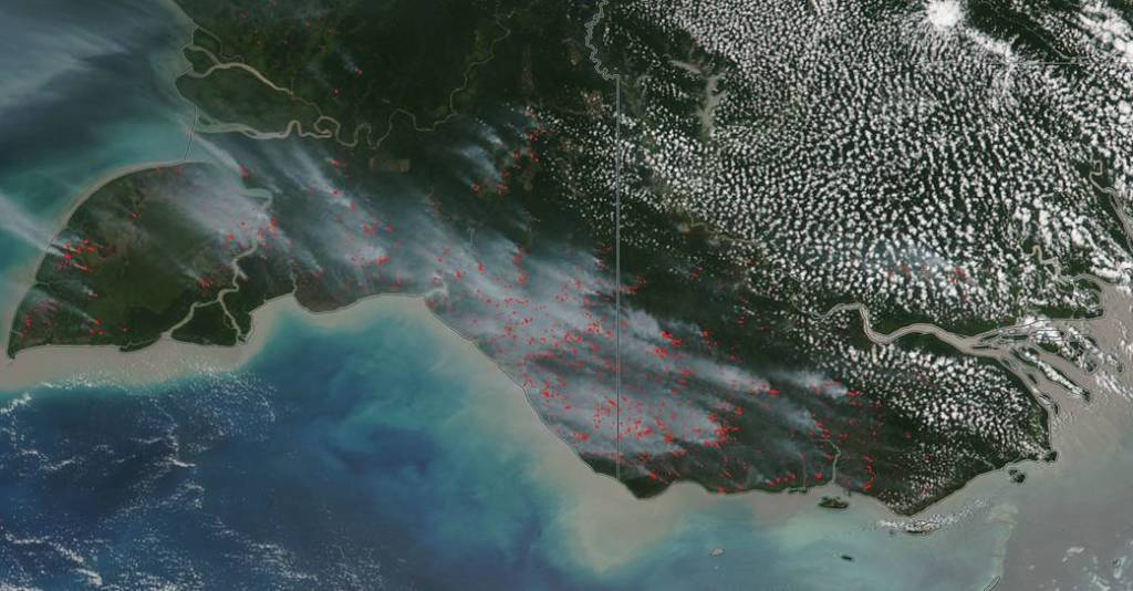 Papua and Papua New Guinea Experience High Numbers of Wildfires