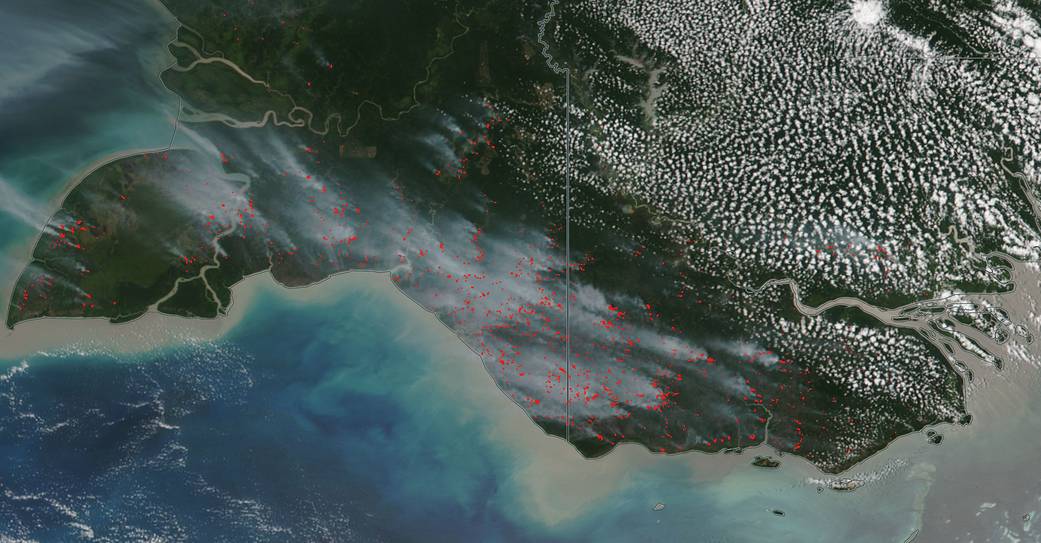 Worldview image of wildfires in Papua and Papua New Guinea