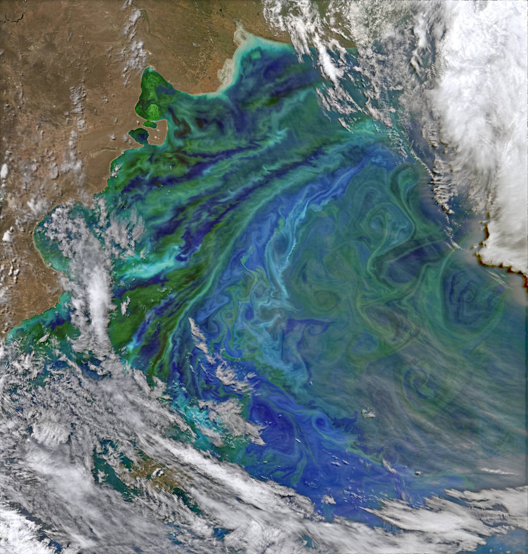 The Visible Infrared Imaging Radiometer Suite (VIIRS) on Suomi NPP captured this view of phytoplankton-rich waters off.