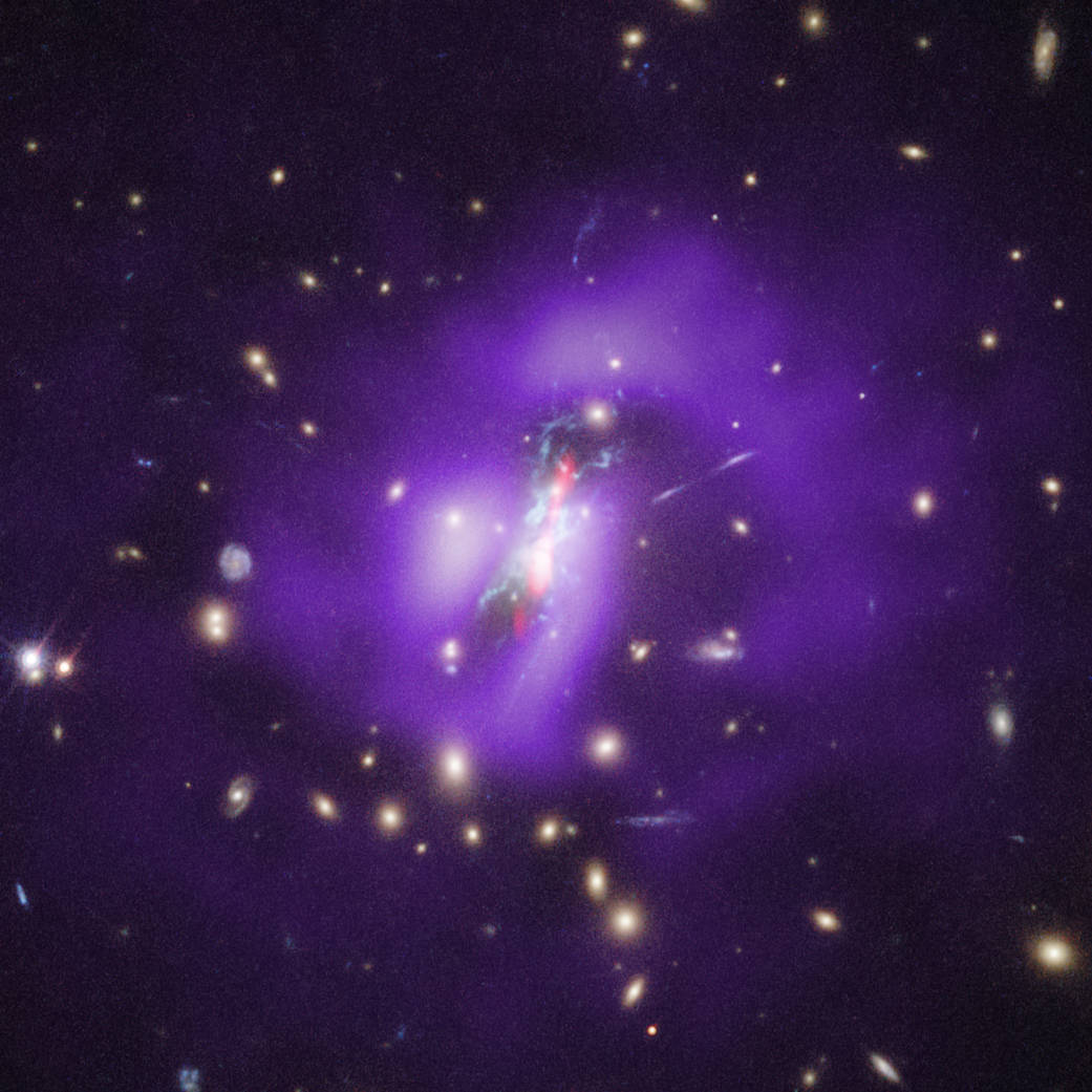 Image of Phoenix Cluster.
