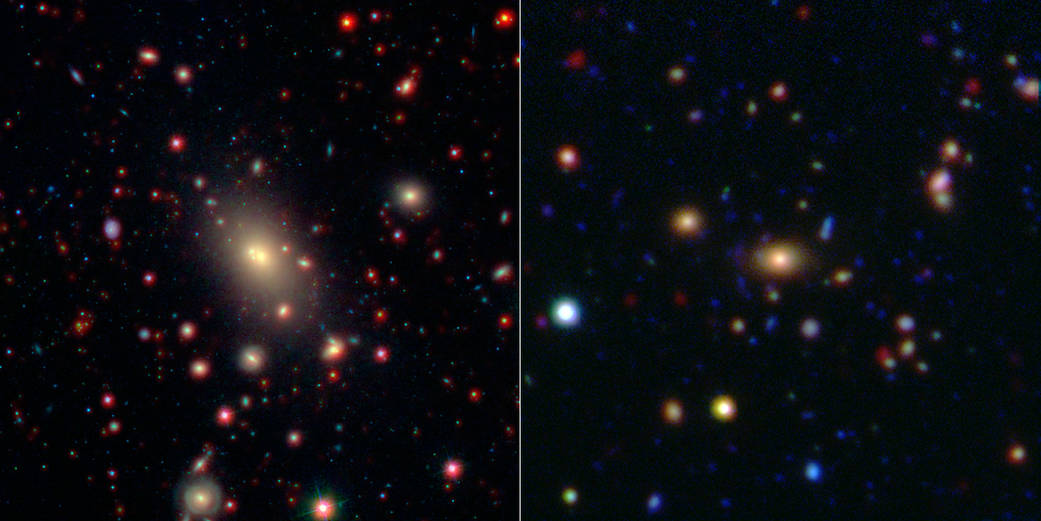 Monster in the Middle: Brightest Cluster Galaxy