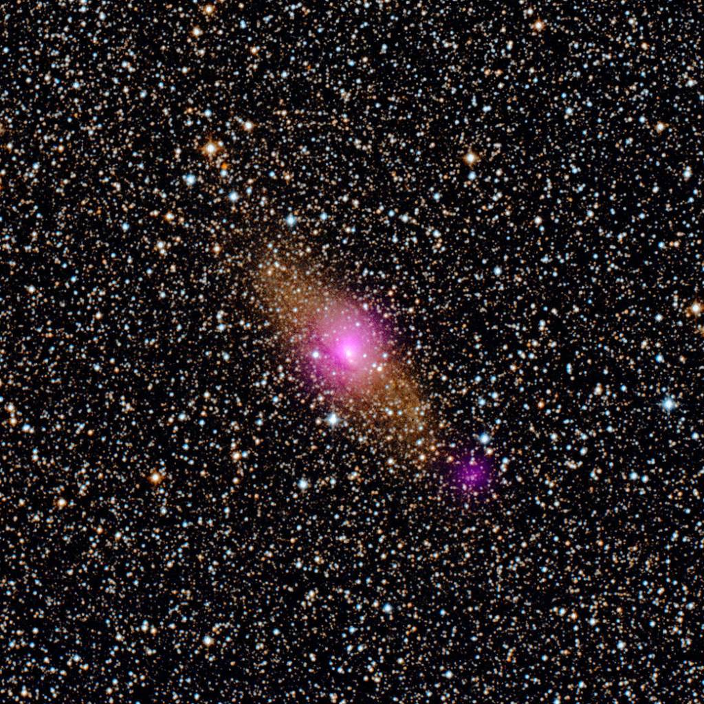Black Holes of the Circinus Galaxy