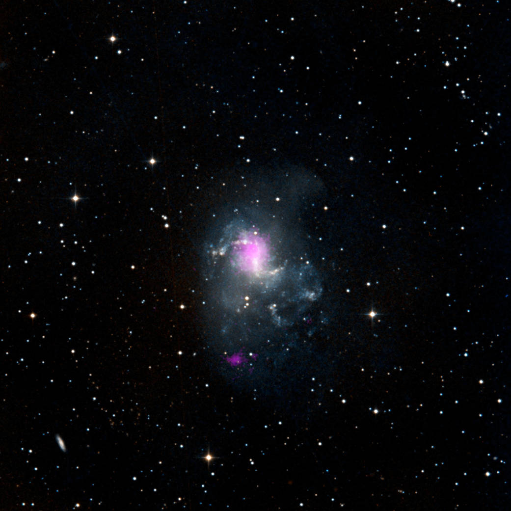 Topsy Turvy Black Holes