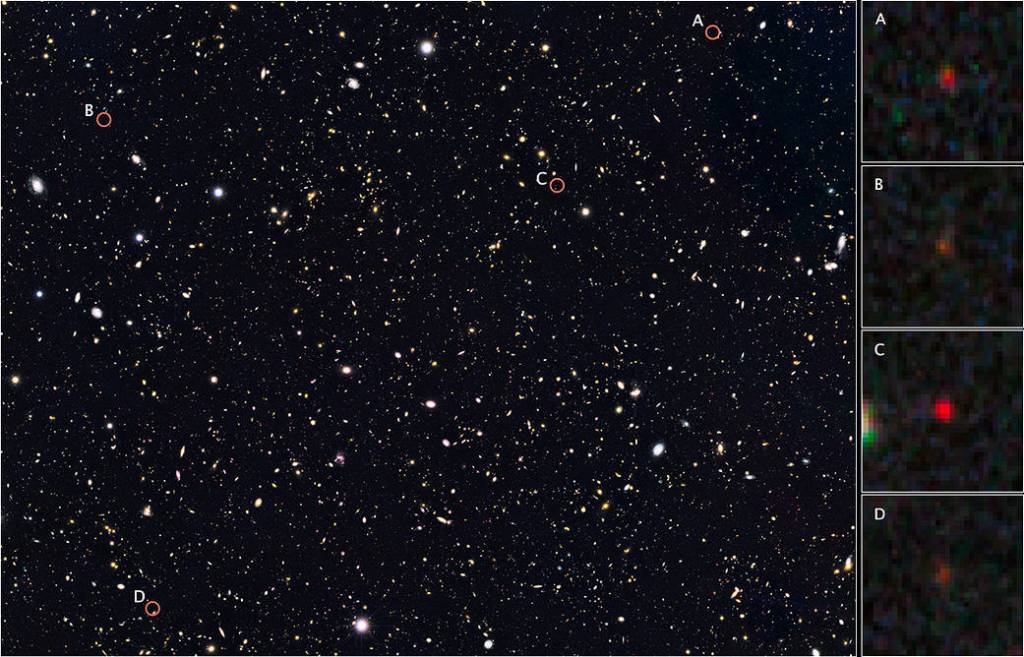 Distant Galaxies in Goods North